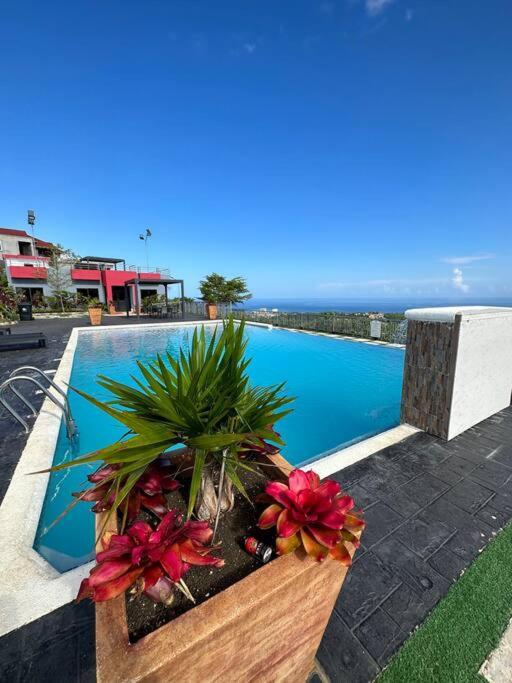Casa Bella Vista @ Pyramid Point Vila Ocho Rios Exterior foto